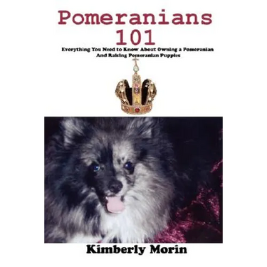 Pomeranians 101: Everything You Need to Know About Owning a Pomeranian And Raising Pomeranian Puppies