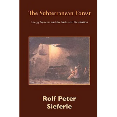 The Subterranean Forest