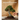The Essential Bonsai Book: Techniques for Creating Beautiful Trees