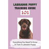 Labrador Puppy Training Guide 101: Everything You Need To Know To Train A Labrador Puppy: Leash Training Tips For Labrador