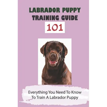 Labrador Puppy Training Guide 101: Everything You Need To Know To Train A Labrador Puppy: Leash Training Tips For Labrador