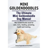 Mini Goldendoodles. The Ultimate Mini Goldendoodle Dog Manual. Miniature Goldendoodle book for care, costs, feeding, grooming, health and training.