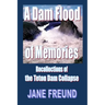 A Dam Flood of Memories - Recollections of the Teton Dam Collapse