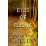Eyes Of Elisha