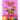 Awesome Butterfly Coloring Book: Beautiful Dover natural butterfly coloring book