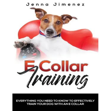 E Collar Training: Everything You Need to Know to Effectively Train Your Dog with an E Collar