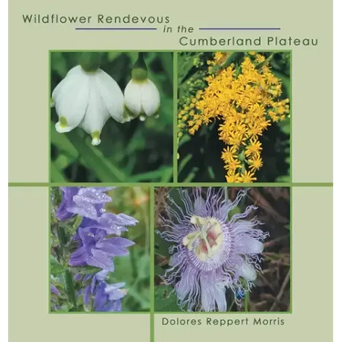 Wildflower Rendevous in the Cumberland Plateau