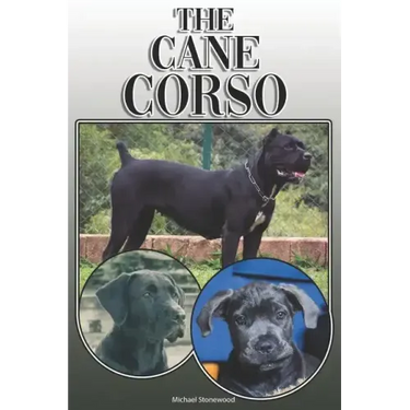 The Cane Corso: A Complete and Comprehensive Owners Guide To: Buying, Owning, Health, Grooming, Training, Obedience, Understanding and