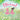 Bloom!: A Story of Diversity and Understanding