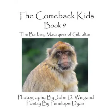 The Comeback Kids -- Book 9 -- The Barbary Macaques of Gibraltar
