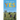 The Next Yes: Saying Yes to God and Finding Life in Unexpected Places