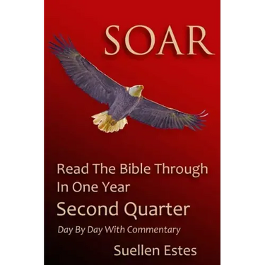 Soar: Read The Bible Through In A Year, Second Quarter