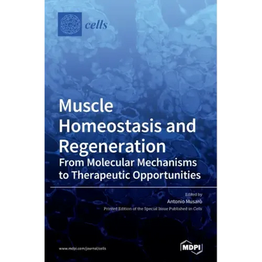 Muscle Homeostasis and Regeneration: From Molecular Mechanisms to Therapeutic Opportunities