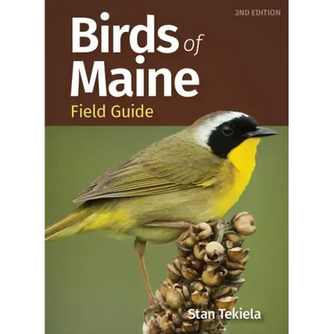 Birds of Maine Field Guide