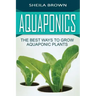Aquaponics: The Best ways to Grow Aquaponic Plants