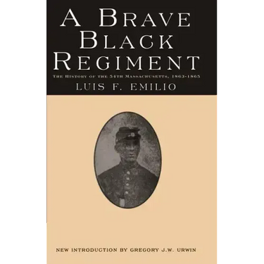 A Brave Black Regiment