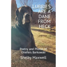 Lubbies are a Dane From Heck: Poetry and Photos of Chiefers Barkowski