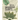 The Princeton Field Guide to Mesozoic Plants