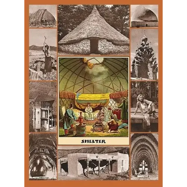 Shelter: 40th Anniversary Edition