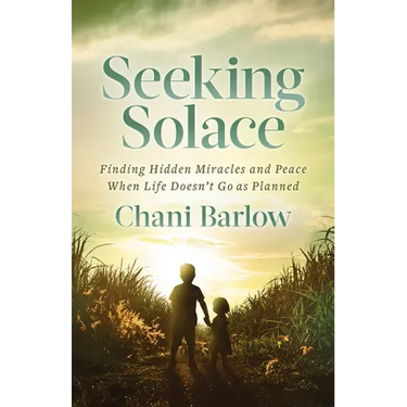 Seeking Solace: Finding Hidden Miracles and Peace When Life Doesn't Go as Planned