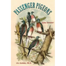Passenger Pigeons: Gone Forever