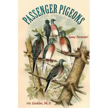 Passenger Pigeons: Gone Forever
