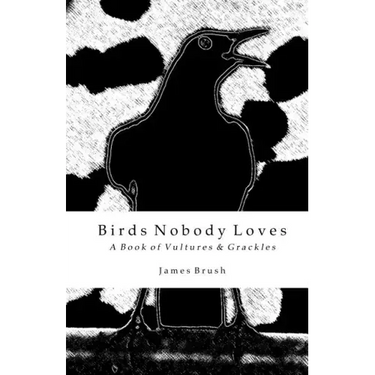 Birds Nobody Loves: A Book of Vultures & Grackles