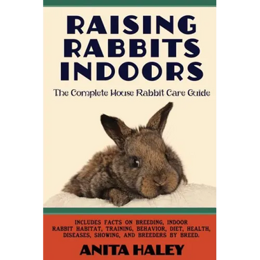 Raising Rabbits Indoors: The Complete House Rabbit Care Guide