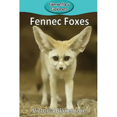 Fennec Foxes