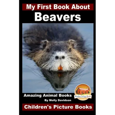 My First Book About Beavers - Amazing Animal Books - Children's Picture Books