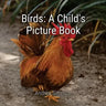 Birds: A Child's Picture Book