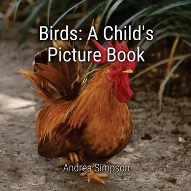 Birds: A Child's Picture Book