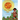 The Taino Sun