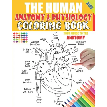 The Human Anatomy and Physiology Coloring Book: 50+ illustrations in an Activity coloring book for kids and teens, Great christmas, thanksgiving, birt