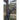 Along the Forest Corridor