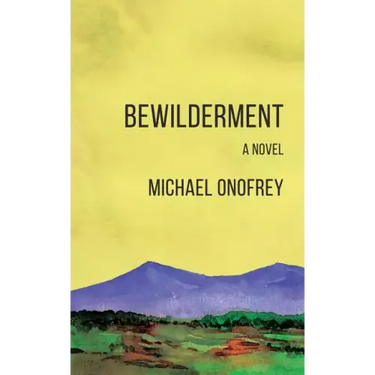Bewilderment