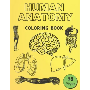 Human Anatomy Coloring Book: Informative Guide To The Human Body (internal organs the nervous system, reproductive systems and limbs) For Kids