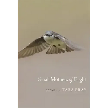 Small Mothers of Fright: Poems