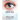 Inside the Eye Disease Just the Facts: A Resource Manual for the Vision Rehabilitation Professionals