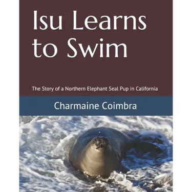 Isu Learns to Swim: The Story of a Northern Elephant Seal Pup in California