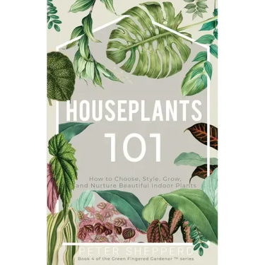 Houseplants 101: How to choose, style, grow and nurture your indoor plants