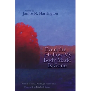 Even the Hollow My Body Made Is Gone