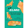 ELMO The Cat who doesn't know he's orange!