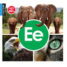 Ee