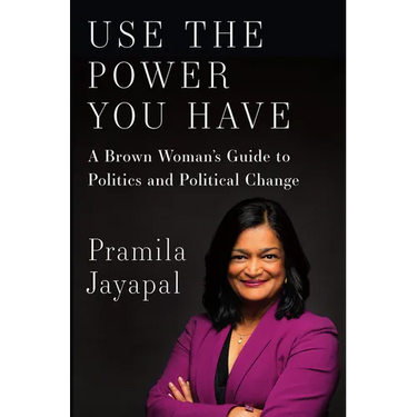 Use the Power You Have: A Brown Woman's Guide to Politics and Political Change