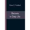 Bacteria in Daily Life