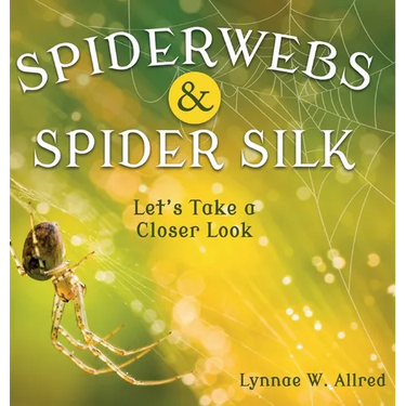 Spiderwebs and Spider Silk: Let's Take a Closer Look