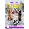 Snowed Under