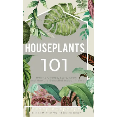 Houseplants 101: How to choose, style, grow and nurture your indoor plants.