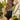 bafe0d4cf2a345ce98cff8d86876ceea-Max